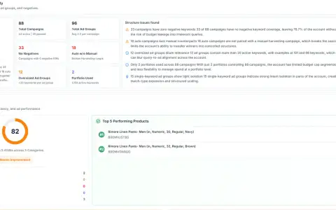 Audit Reports — let AI keep an eye on your account screenshot 3