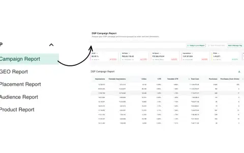 DSP reporting — see the bigger picture screenshot 1