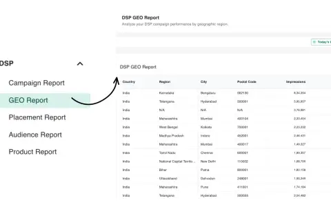 DSP reporting — see the bigger picture screenshot 2
