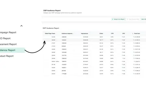 DSP reporting — see the bigger picture screenshot 5