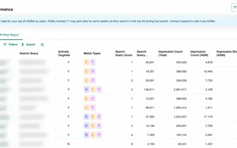 Search Query Performance (SQP) report screenshot 1