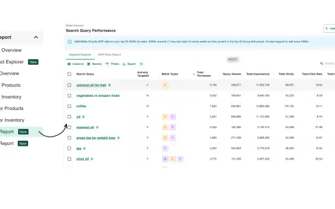 Search Query Performance (SQP) report screenshot 2